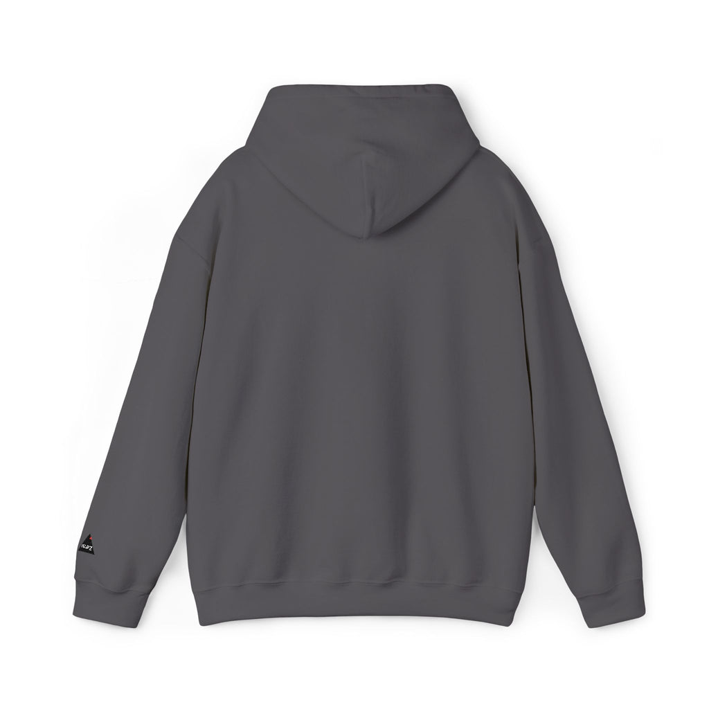 EmotionallyUnavailble Embroidered Hoodie